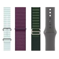 Accesorii Watch
