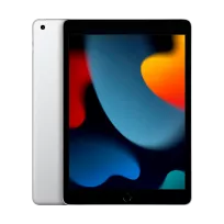 iPad 10.2 9 Gen, 256 ГБ Wi-Fi 2021, Күміс