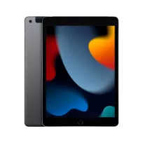 iPad 10.2 9 Gen, 256 GB Wi-Fi+4G 2021, Space Gray